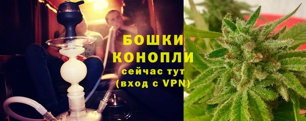 гидра Богородск